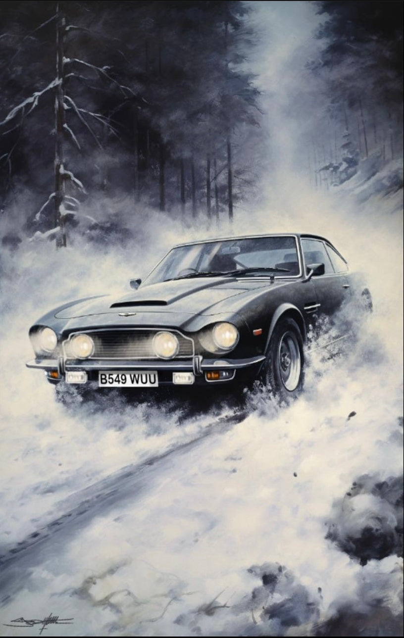 Aston Martin V8: Snow