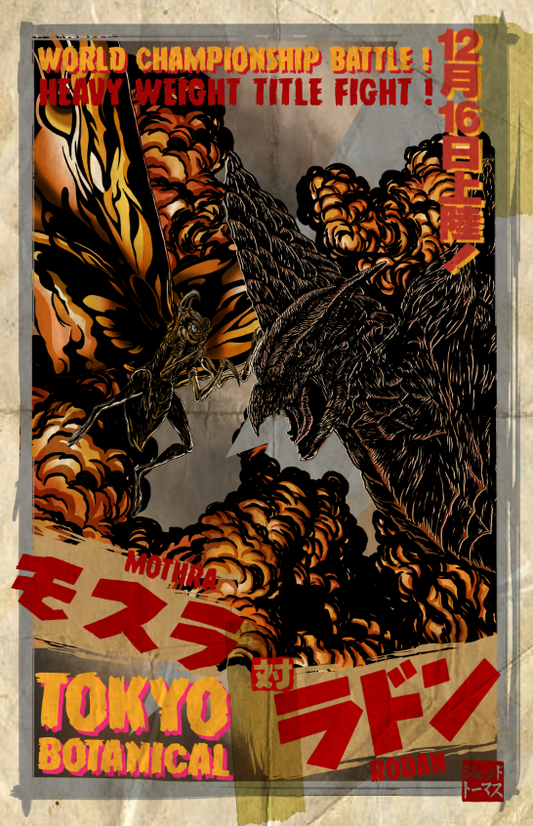 Mothra Vs. Rodan